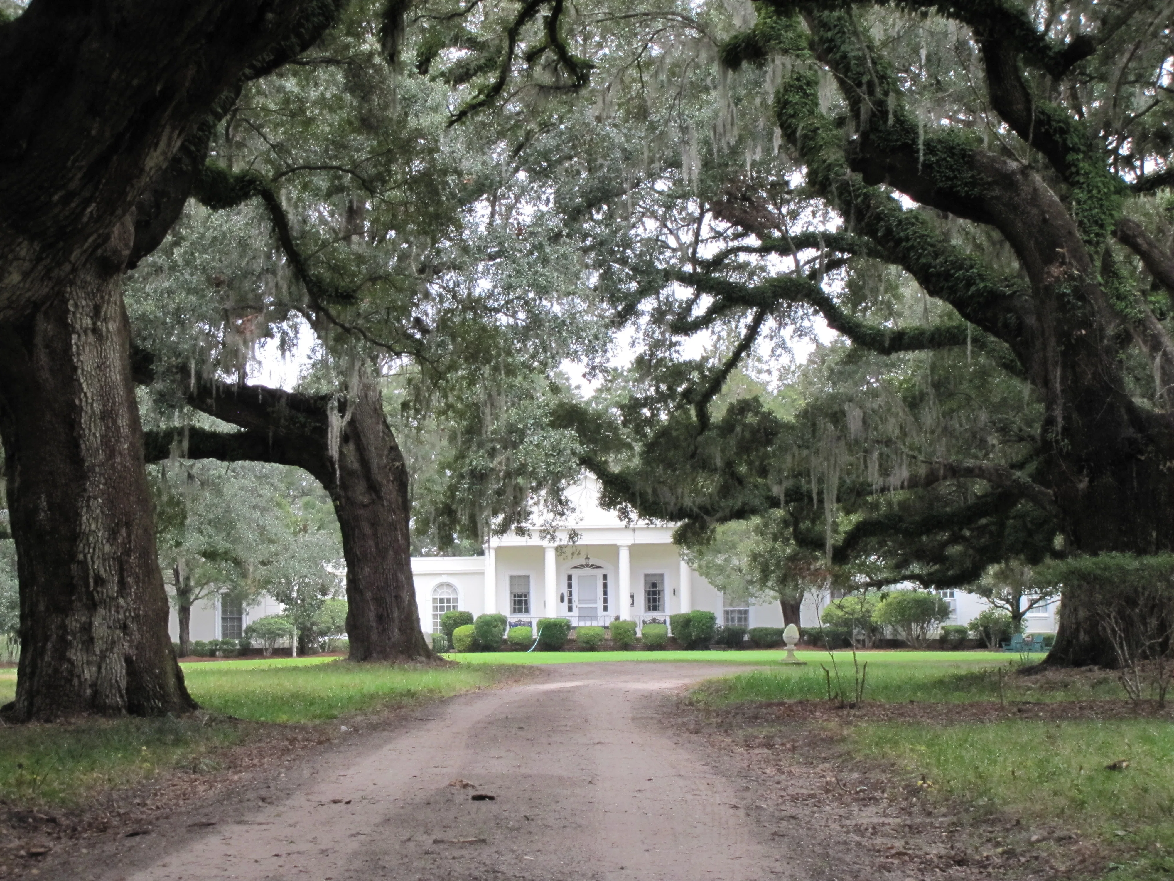 Commercial Roofing in Cainhoy Peninsula, SC